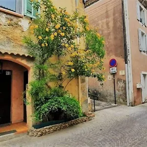 Indépendant, Hyper-centre Pittoresque Appartement